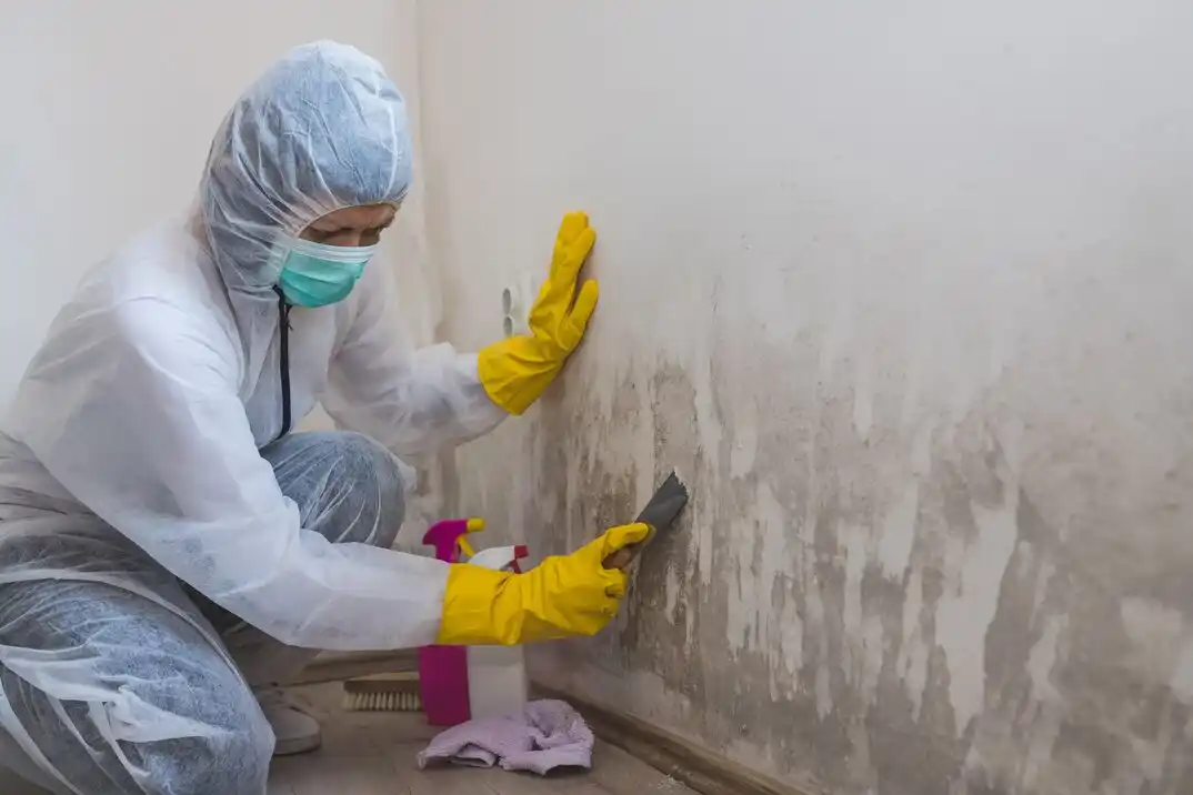 water damage restoration service Heatherridge